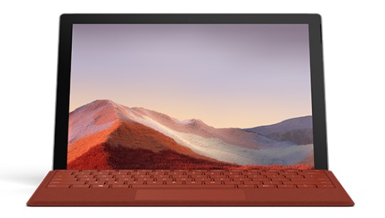 鼎湖清洁和维护 Surface